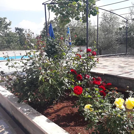 Lejlighed With A Swimming Pool Zbandaj, - 14154